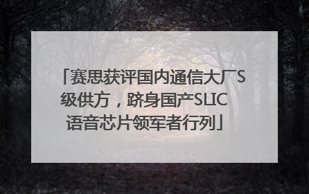 赛思获评国内通信大厂S级供方，跻身国产SLIC语音芯片领军者行列